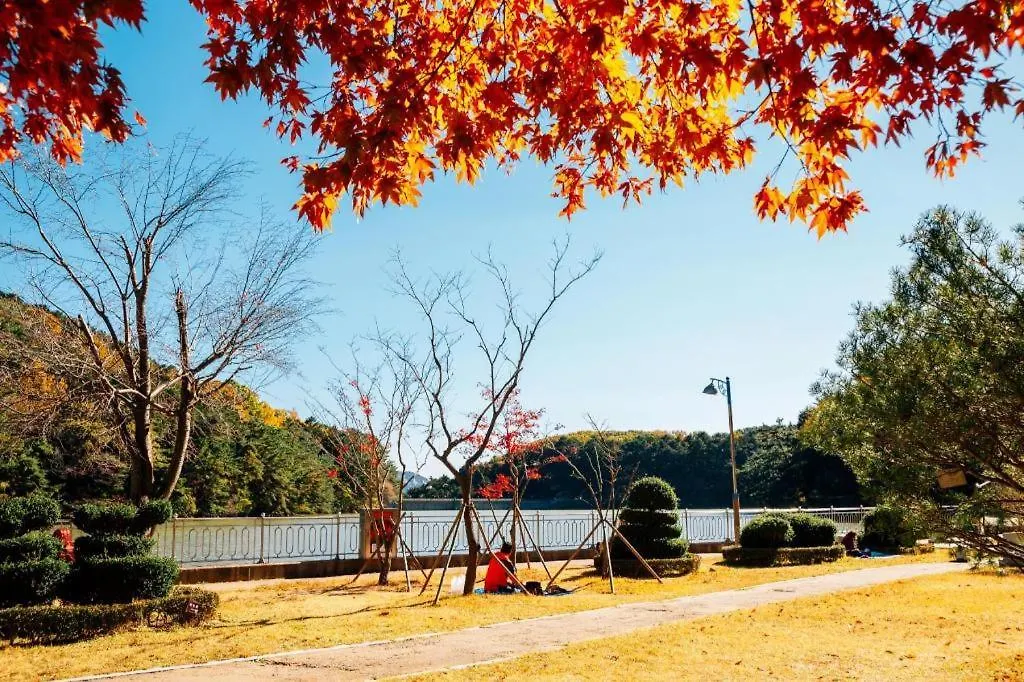 ** モーテル Comma Hotel 釜山広域市 韓国